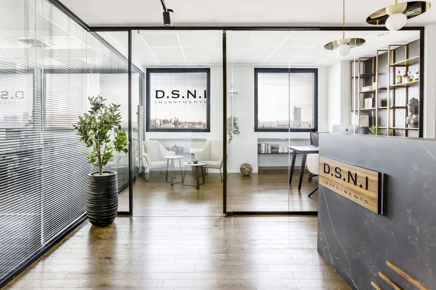 D.S.N.I__1_of_21-2 D.S.N.I__1_of_21-2